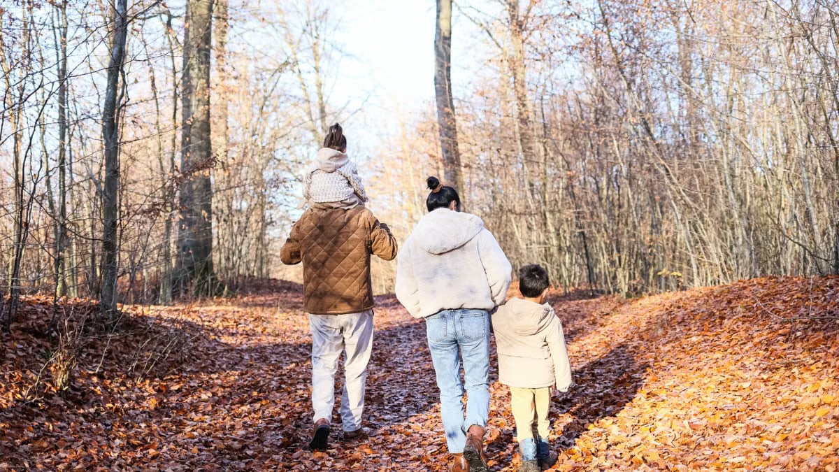 Attività da fare insieme in famiglia